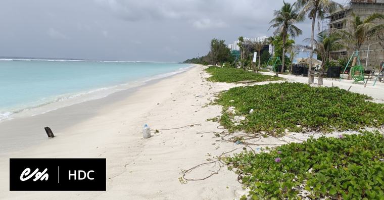 މޫދަށް އެރޭ ސަރަހައްދަކާއި މަސްބާނާ ޕްލެޓްފޯމެއް ގާއިމުކުރަން ހިޔާލު ހޯދަނީ
