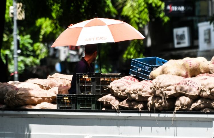 Temperature today highest this year at 39.1 degrees Celsius 13 hours ago